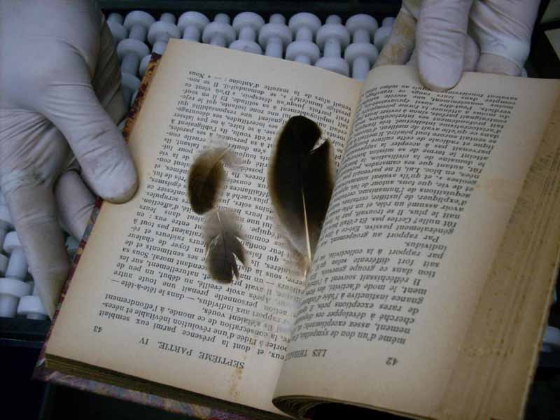 Consejos para limpiar los libros - libros-sucios2