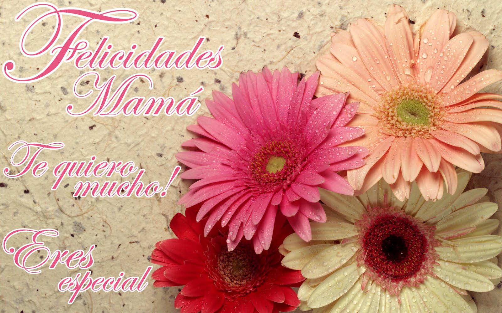 Mexicanos gastan mil 246 pesos en regalos por Día de las Madres