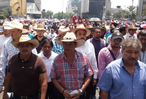 Representantes de la CNTE dialogan en Los Pinos