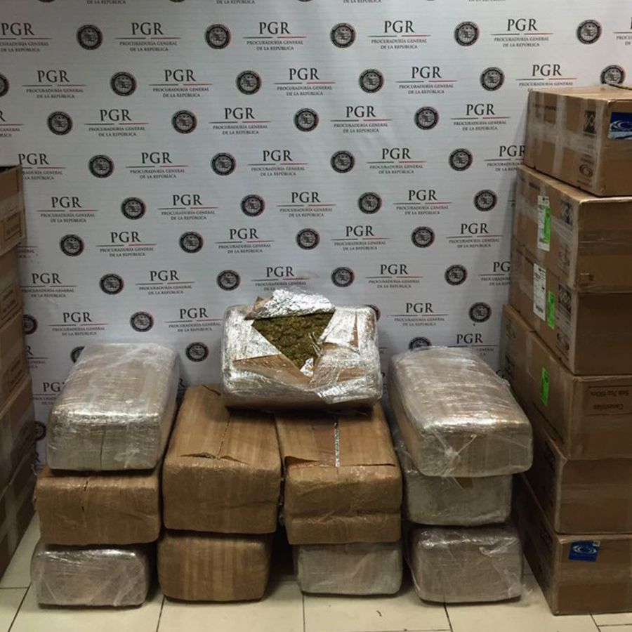 PGR incauta más de 80 kilogramos de mariguana en Nuevo León - mariguana-Gobernación-