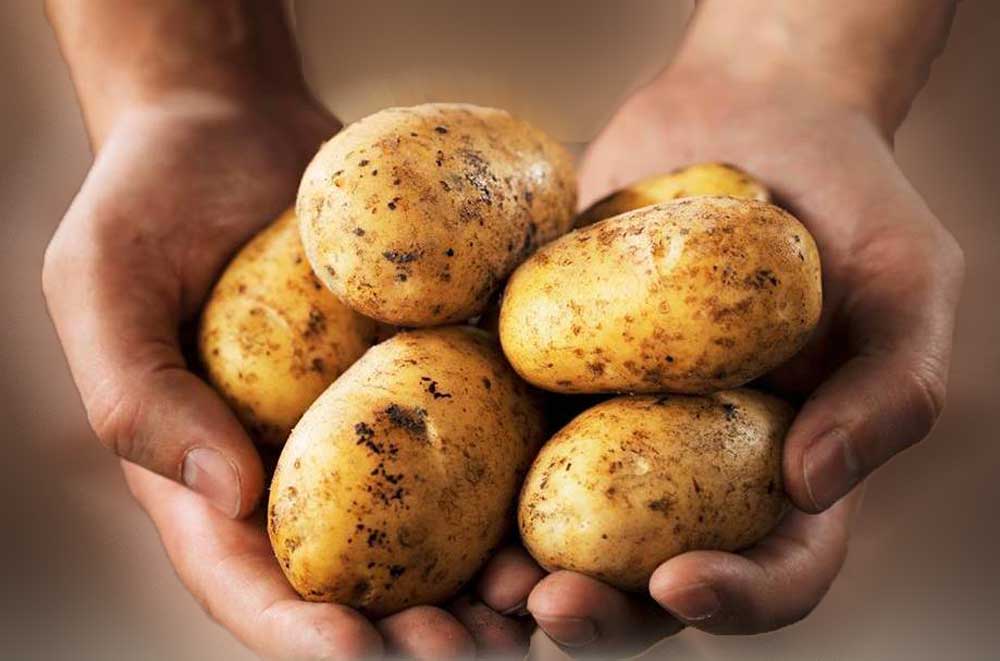 Recalentar algunos alimentos es dañino para el organismo - papas-las-mejores-recetas