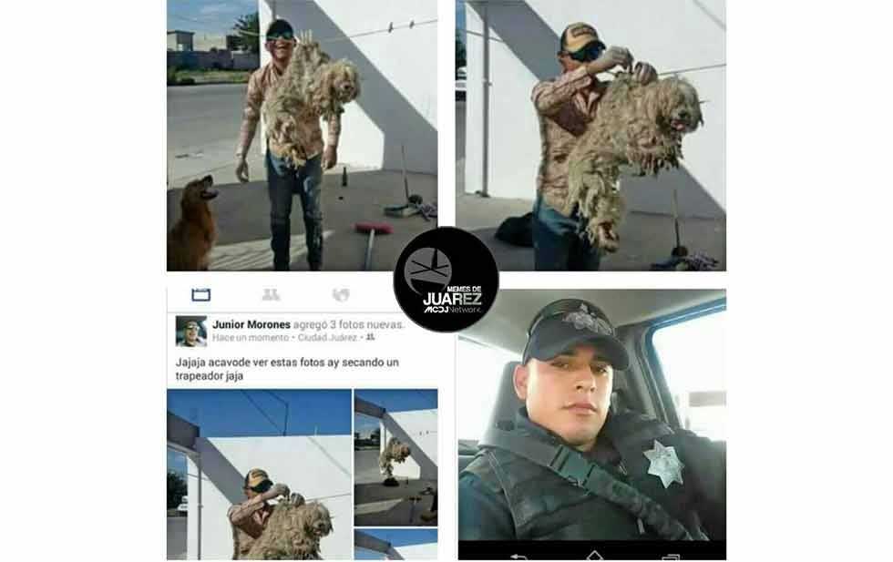 Suspenden a oficial por colgar a perro de tendedero - policia-perro