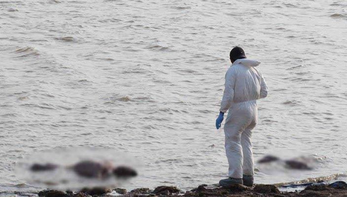 Encuentran cuerpos de dos mujeres en presa de Michoacán