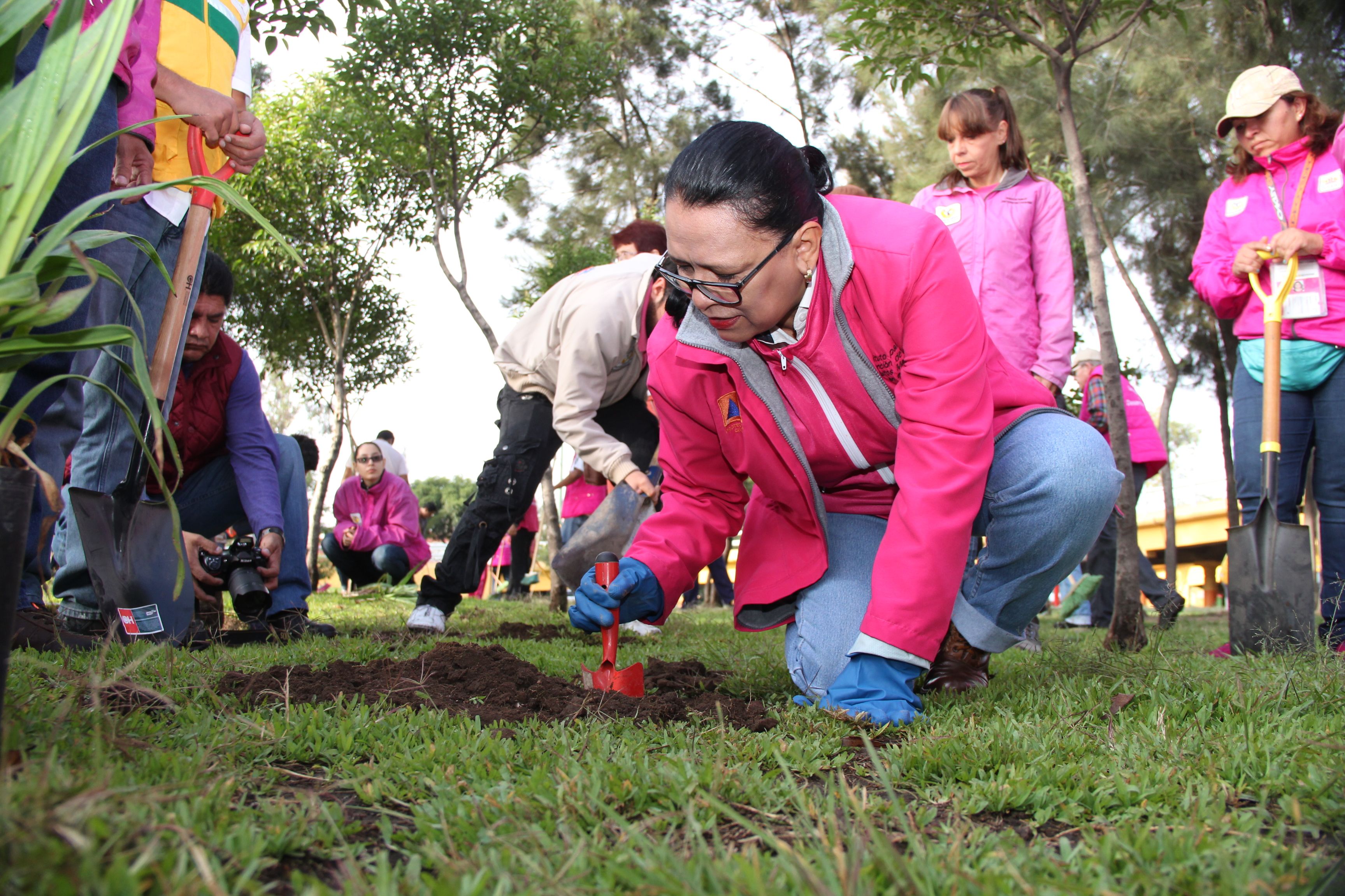 Se talan más de 6 mil árboles al año en la Ciudad de México - reforestación-Pulso-DF-
