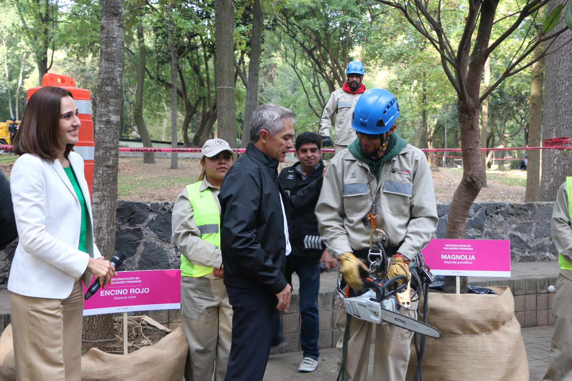 Se talan más de 6 mil árboles al año en la Ciudad de México - reforestación-SEDE-MX-