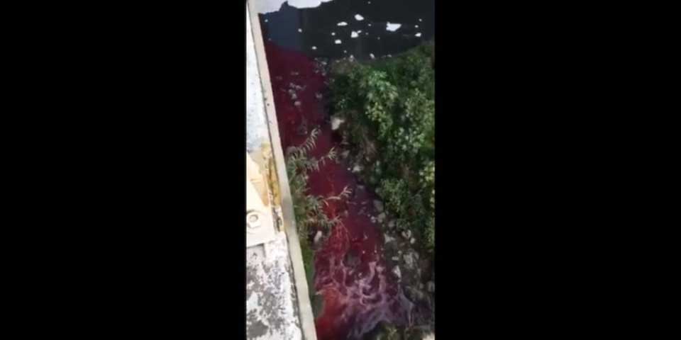 Video: descarga clandestina contamina río Atoyac en Puebla