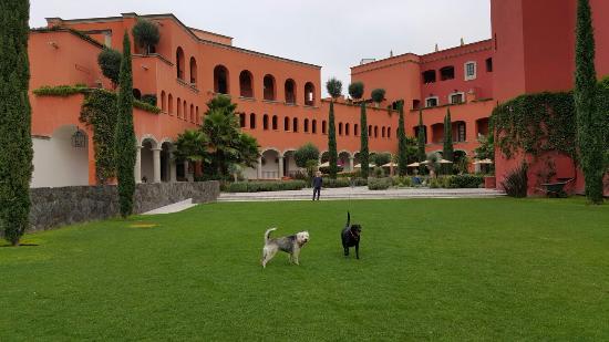 Los mejores hoteles mexicanos según Travel + Leisure - rosewood-san-miguel-de