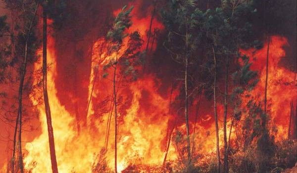 Muere voluntario tras combatir incendio forestal en Michoacán - tancítaro-Capital-michoacán