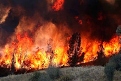 Muere voluntario tras combatir incendio forestal en Michoacán - tancítaro