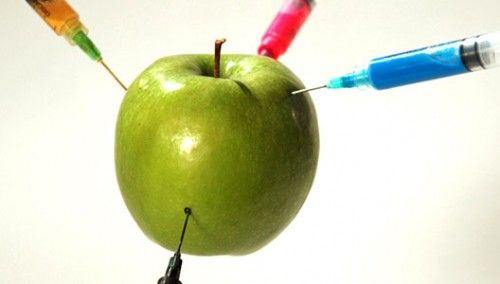 Estudio afirma que transgénicos son tan sanos como cualquier alimento - trans-Internet