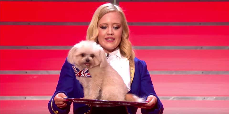 Viral: el perrito bailarín