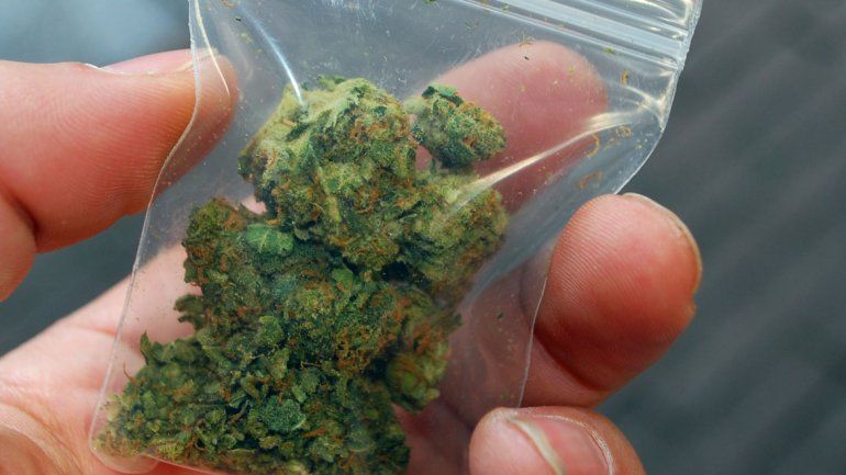 Senado analiza castigar con "torito" el consumo de mariguana - 0011485878