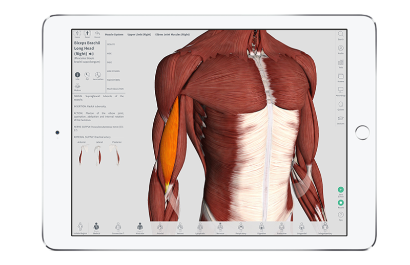 12 apps recomendadas por Apple - 01