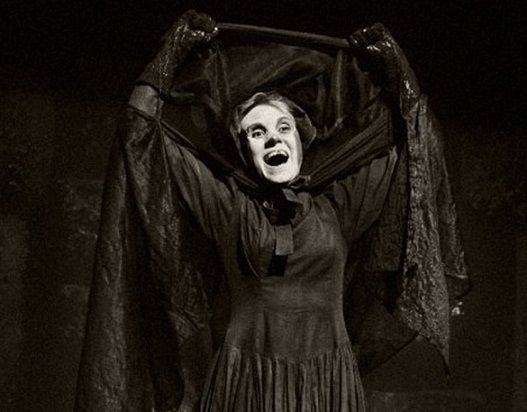 Cierra el Teatro Arlequ&iacute;n - 0da_dama