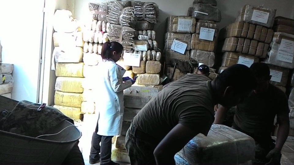 PGR asegura 11 toneladas de mariguana en Tamaulipas - 11-toneladas