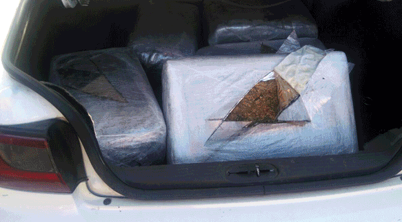 AIC decomisa más de una tonelada de mariguana en Baja California y Sonora