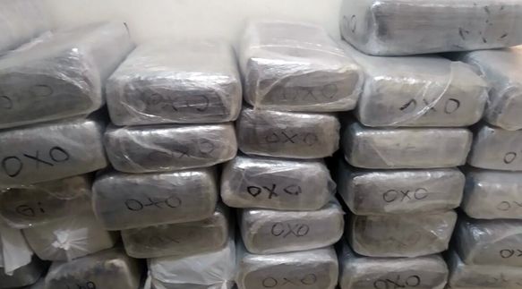 AIC decomisa más de una tonelada de mariguana en Baja California y Sonora - 942_3