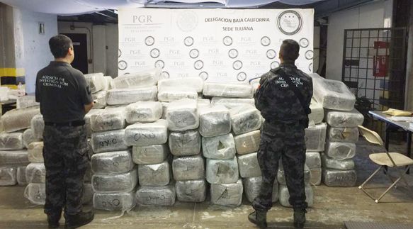 AIC decomisa más de una tonelada de mariguana en Baja California y Sonora - 942_7