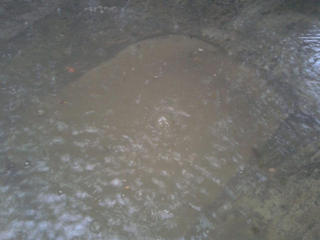 Graves encharcamientos en la Ciudad de México - Agrícola-oriental-1024x768