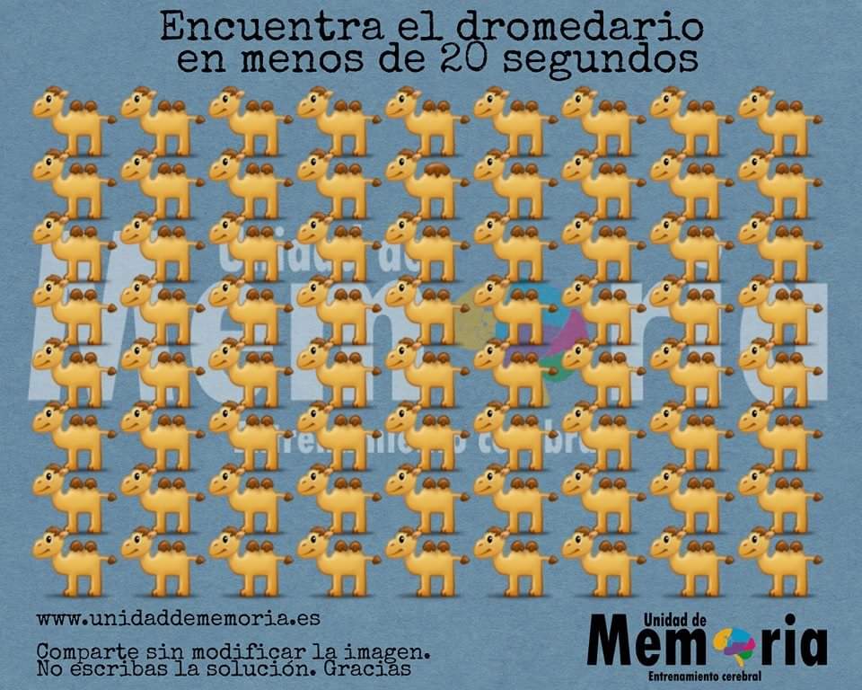 Encuentra el dromedario