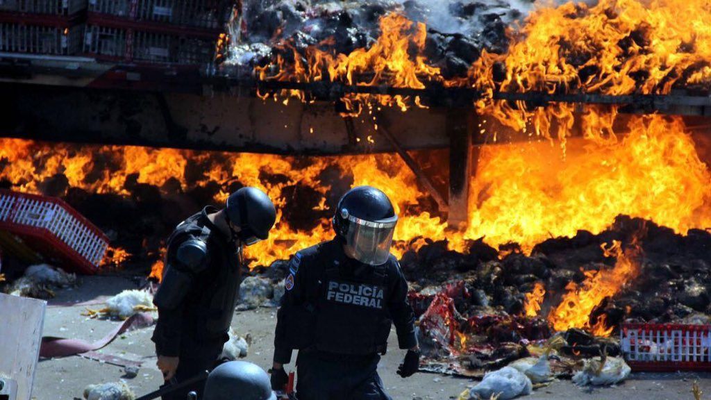 Enfrentamiento con la CNTE deja seis muertos, 53 civiles y 56 policías heridos - ClXd2rsVEAAKUpx