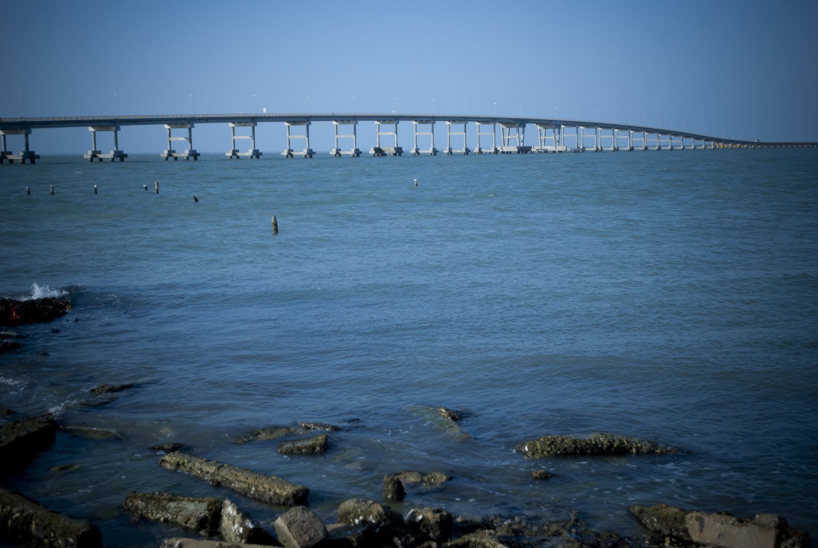 Incorporan 17 zonas como Áreas Naturales Protegidas - Laguna-de-Términos