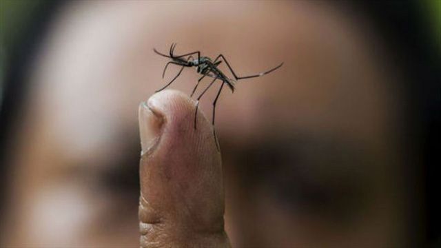 Mujer embarazada, primer caso de Zika en Colima