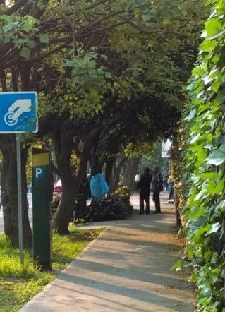 Vecinos habían visto caminar a suicida de Polanco