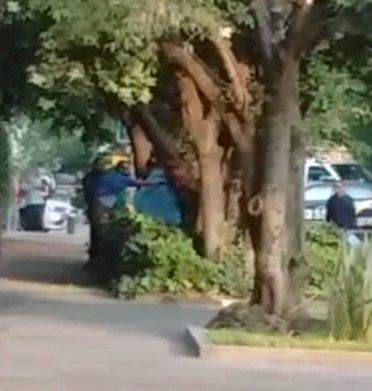 Vecinos habían visto caminar a suicida de Polanco - ahorcado-polanco