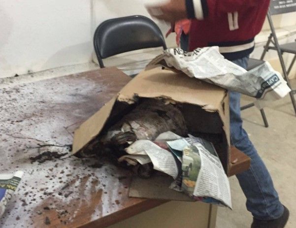 Explota artefacto en oficinas de alcalde en Oaxaca