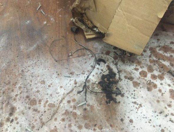 Explota artefacto en oficinas de alcalde en Oaxaca - artefacto-explosivo-mixtepec-Oaxaca-OvelezA