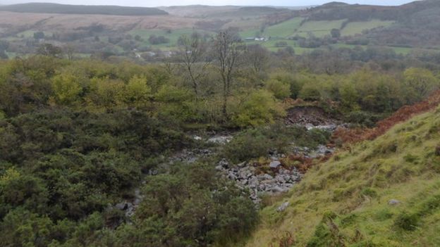 Encuentran a grupo de jóvenes perdidos en Gales - bosques-galees