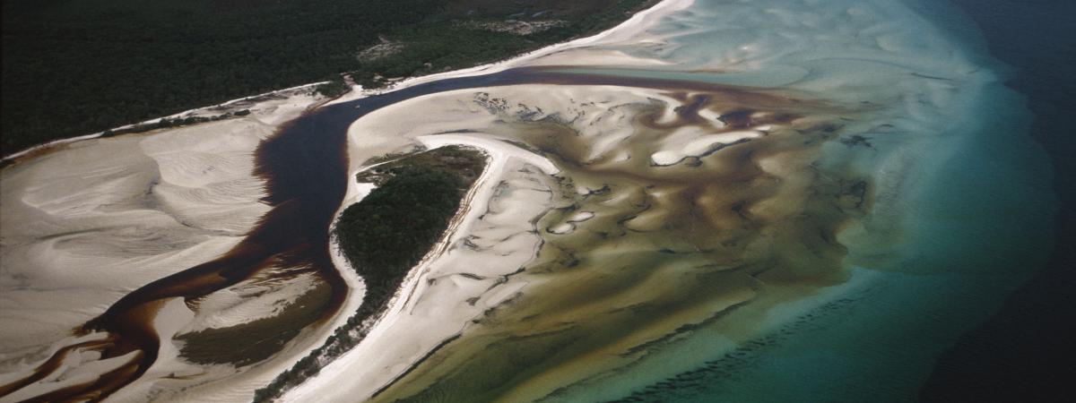 Se extingue el primer mamífero por cambio climático - bramble-2