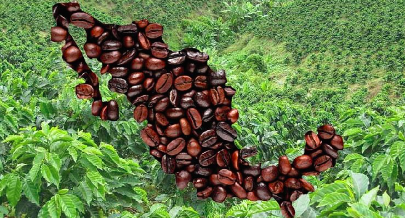 Diputados se comprometen a impulsar el cultivo nacional de café