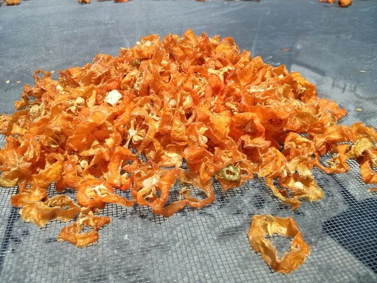 Los beneficios de consumir chile habanero - chile-habanero-deshidratado