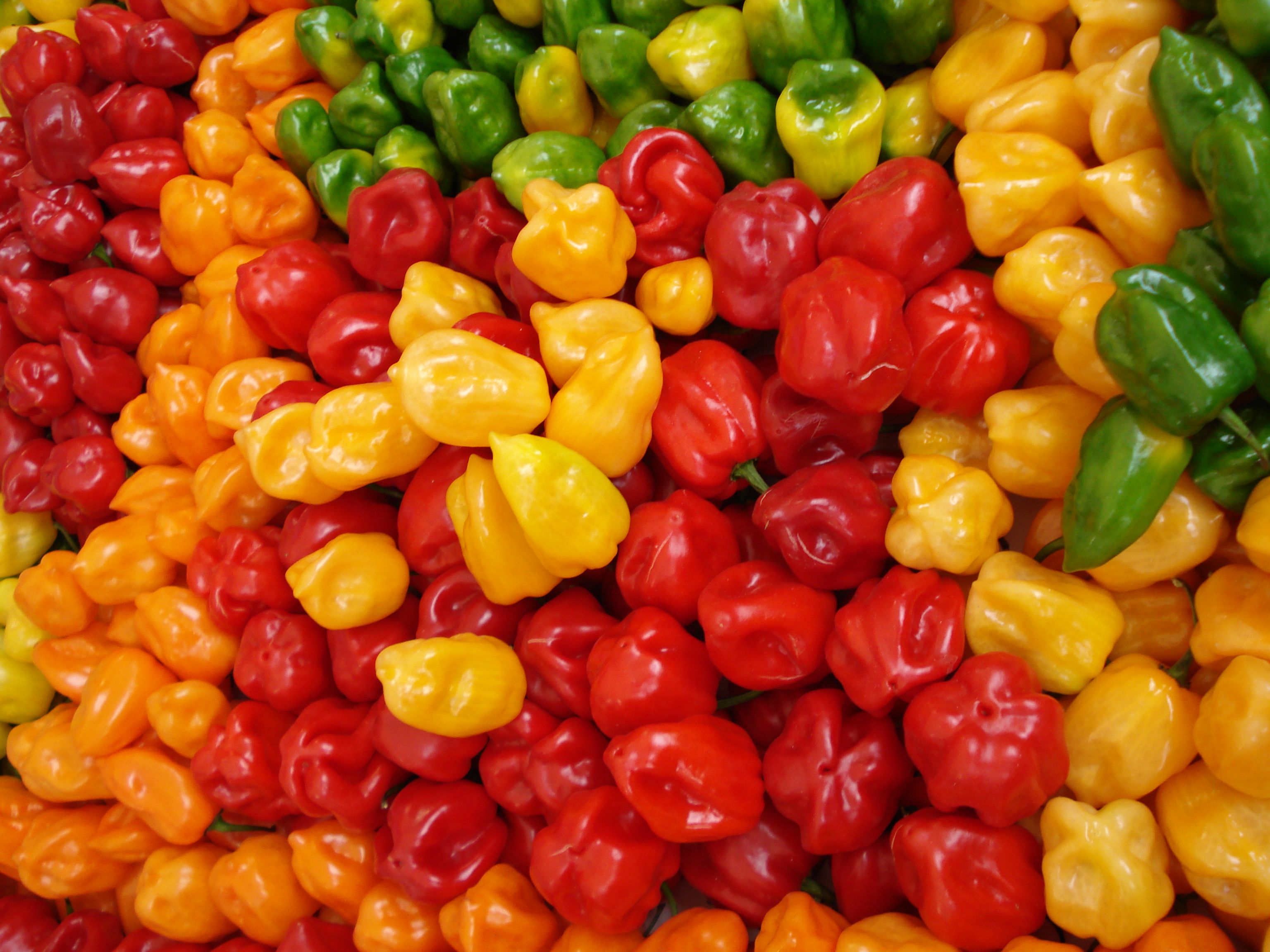 Los beneficios de consumir chile habanero