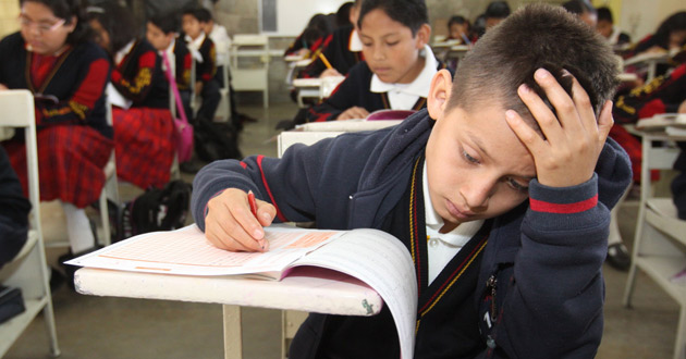 Oaxaca y Chiapas, los estados más atrasados en educación: ICRE