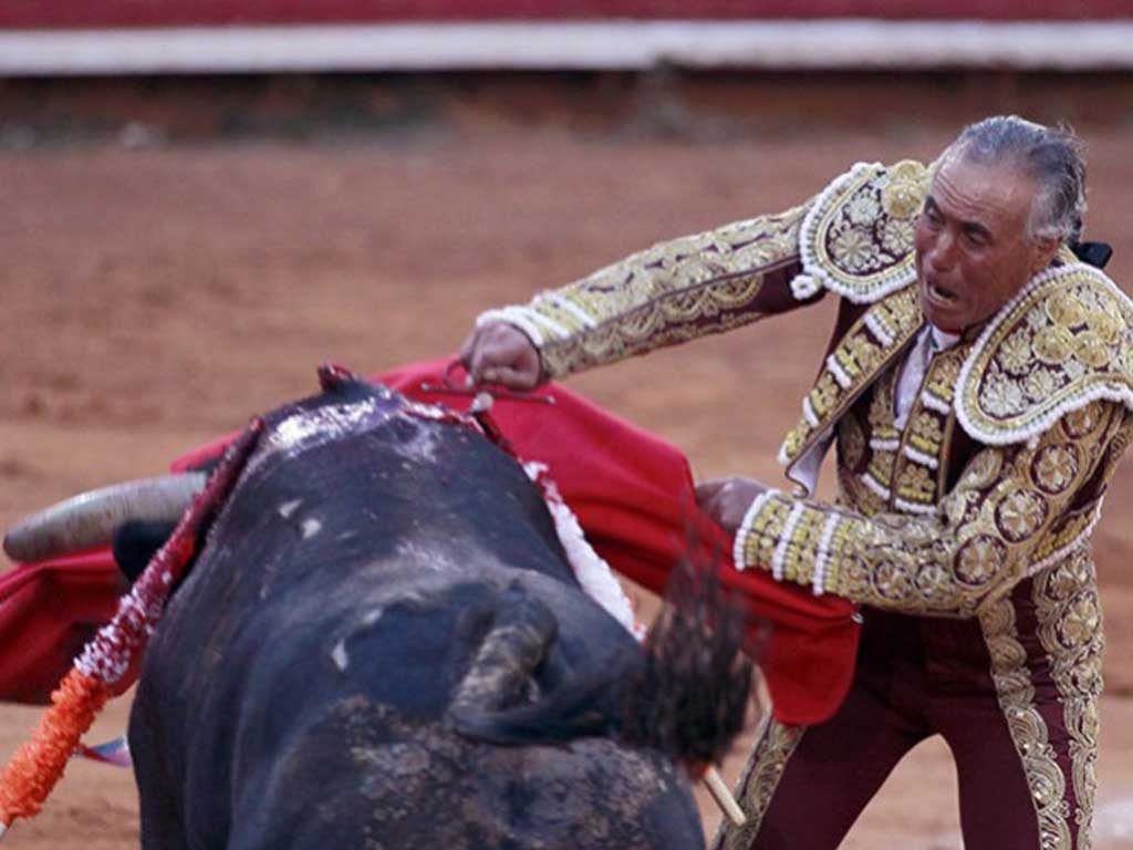Homenaje a “El Pana” en Apizaco - el-pana-1024x768