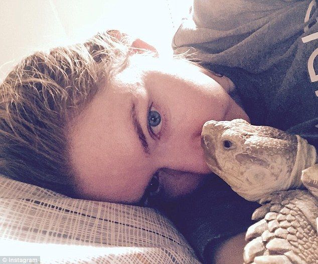 Henry la tortuga es la estrella de Central Park - henry-5