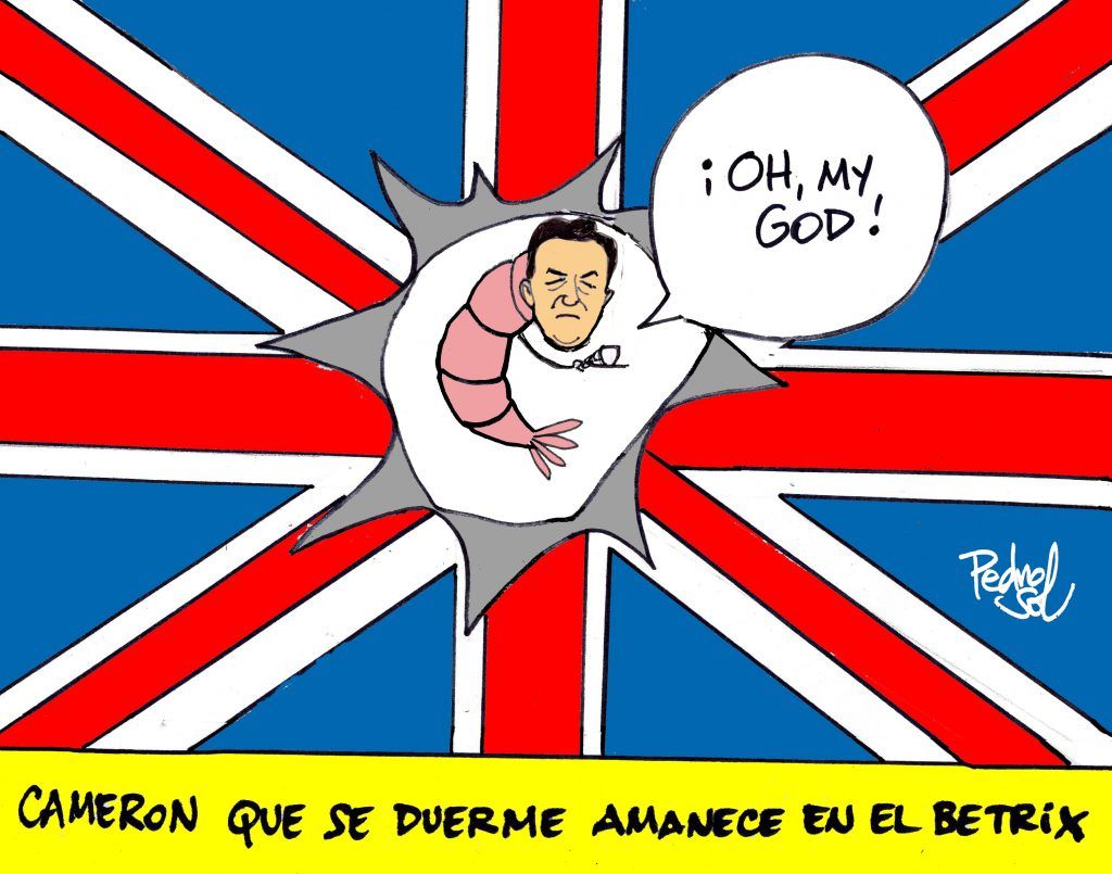 ¡Quema mucho el sol! Camarón que se duerme... - img539-1024x805