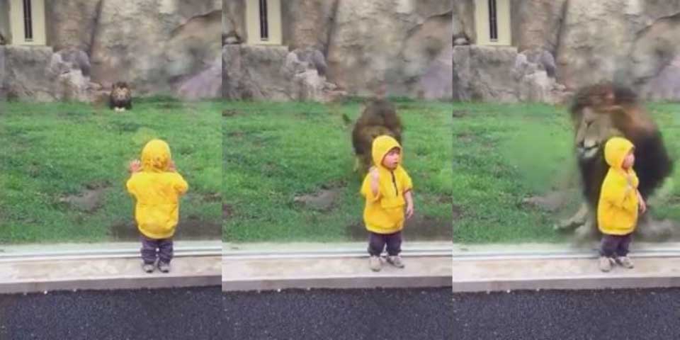 Los videos de la semana