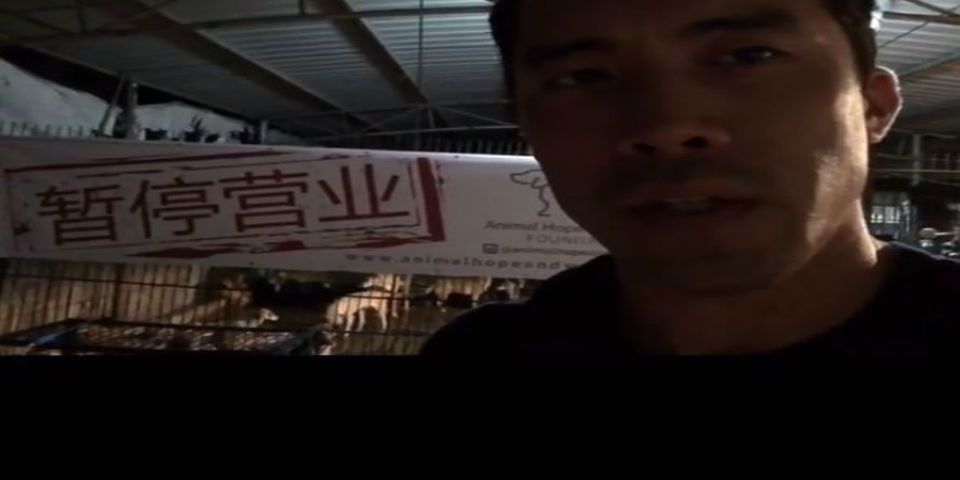 Activista salva a mil perros de ser comidos en China