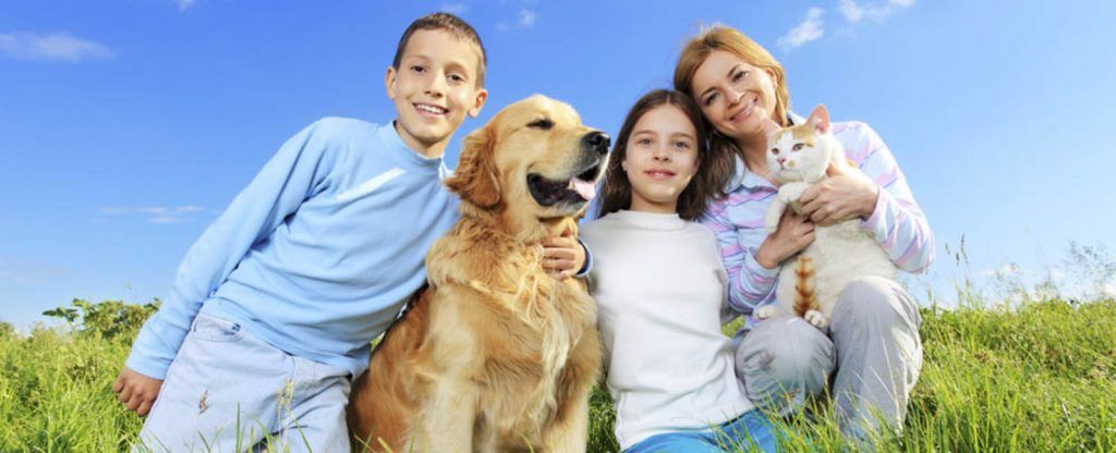 Lo que hay que considerar antes de adoptar a un animal de compañía - mascota-1024x416