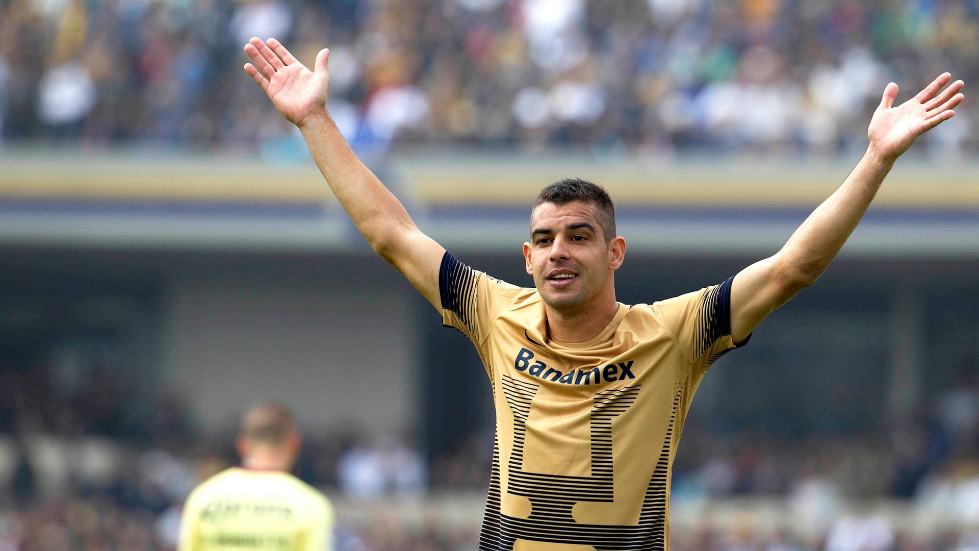 Pumas desmiente salida de Gerardo Alcoba