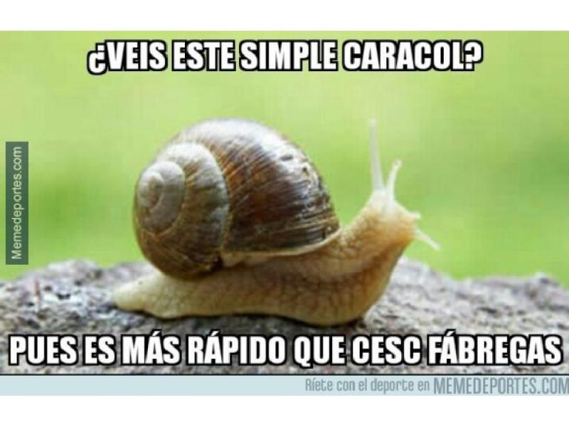 Los mejores memes de la eliminación de España e Inglaterra - memes-espana-10