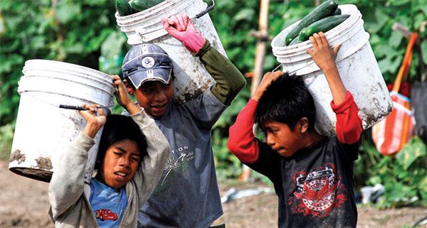 Explotados y mal pagados los niños trabajadores mexicanos - niños-mexicanos-trabajando
