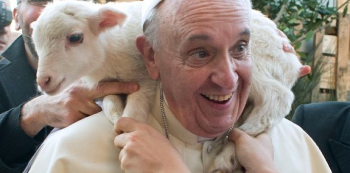 Papa Francisco habla sobre el "buen pastor" durante Jubileo de los Sacerdotes - papa-pastor