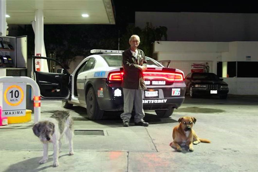 Video: perros defienden a dueño tras ser asaltado