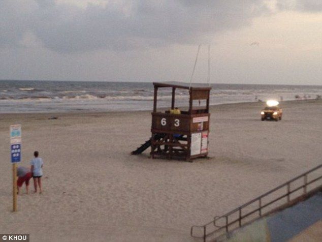 Tiburón muerde a niña en playa de Texas - tiburón-KHOU
