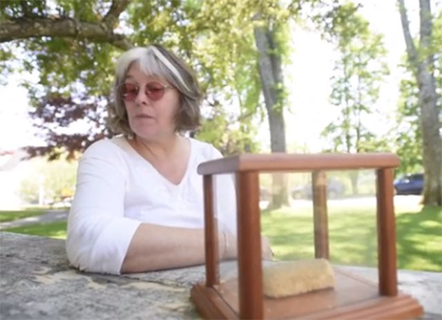 Conservan Twinkie tras 40 años de un experimento escolar - twinkie